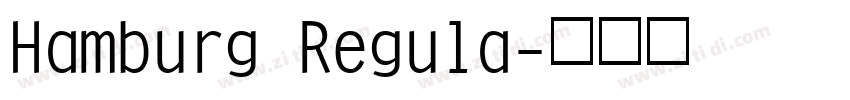 Hamburg Regula字体转换